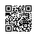 6411-247 DECAL,DOOR-UPR-LH (WILDCAT X PRO TAG)