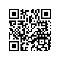 64110-02111-000 HUB,RR