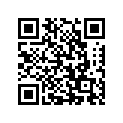 64111-19D01-35W 