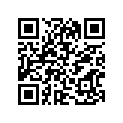 64111-31300-291 
