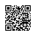 64111060133 Direct current horn cpl.