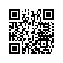 64113002000C1 Lever asembly