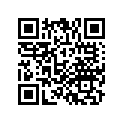 64215-MGH-640 RUBBER (100X5X2.0)