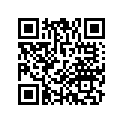 64241-MEW-D41ZB POCKET,R *NHA65P*