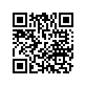 64241-MEW-D41ZD POCKET, R. *R319M*