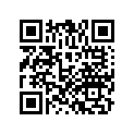 64276-MKA-D80 Панель обтекателя