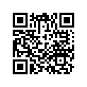 64300MFJD00ZL Обтекатель
