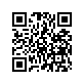 64301-GK8-600ZA Shield, Leg *nh148*