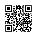 64305-KJ9-000ZN Skirt,fr.*r-132c*