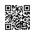 64320-GW3-000ZA Mat,floor   *nh4*