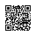 64341-MEW-D41ZB POCKET, L. *NHA65P*