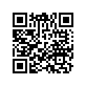 64366-MZ2-G00ZB Stripe b,*type25*