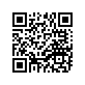 644-14116-31-00 NEEDLE