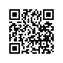 64511-41131 
