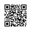 64586-MS2-300ZB Stripe,r.i*type2*