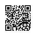 646-11631-01-97 Поршень