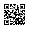 648-14384-01-00 Прокладка Резиновая