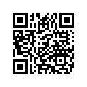 64900210 MUFFLERASY