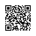 64900411 MUFFLERAUXVOL,CHRM,BLUN