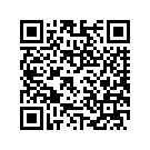 65093-06CCR SUPPORT MUFFLER (ABYSS BLUE)