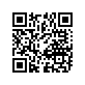 65100-01012-000 Tire (2.25-17)