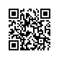 65100-08011-000 Tire (3.00x16) irc