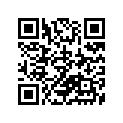65100-26500-000 Tire (3.00-18)
