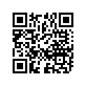 65100-36010-000 Tire (2.75-18)