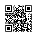 65100-45410 Tire (4.00h18)