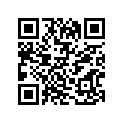 65100-45530-000 Tire (120/90-18 67h)