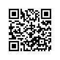 65100-47036-000 Tire (3.75h18)