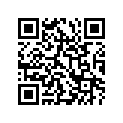 65110-36H00-000 TIRE,RR(2.75 17)
