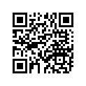 654-45635-00-00 PLUNGER, SHIFT