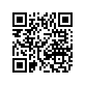6606-878 PAD,RUBBER-25 X 110 X 1.6