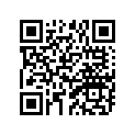 663-45577-30-00 Шайба Регулировочная