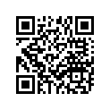 664-11631-80-96 Поршень