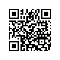 6690110 MFLRSHIELDASY,SATINCH