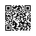 66E-11603-01-00 Кольца Поршневые (К-т 3 шт.)