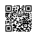 66N021205 Shim