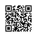 67235-HL4-A10ZN PANEL, L. *NHA79MR*
