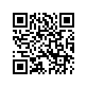 6784505 BUMPERRUBBER