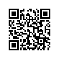 68110-17E01-N61 