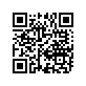 68131-06B00-22R 