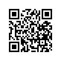 68131-25600-991 