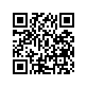 68131-28630-538 