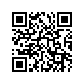 68131-29411-71L 