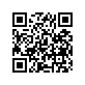 68134-31300-291 