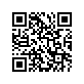 68141-06B00-22R 