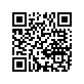 68144-31300-291 