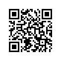 68155-27300-538 